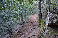 Trail in the park towards the summit of Mount Saint Helena