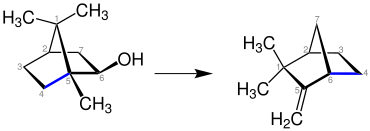 Übersichtsreaktion der Synthese von Camphenen aus Isoborneol