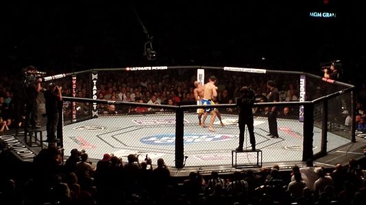 An octagon cage used by the UFC.