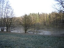 Photographie montrant l'étang du Flaquet dans le Bois-l'Évêque en hiver