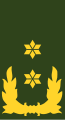 Exèrcit Neerlandès Generaal-majoor