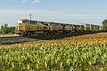 Image 52A Union Pacific freight train; high clearances enable double-stacked containers to be carried in well cars. (from Train)