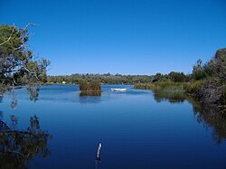 'n Natuurtoneel in die Yanchep Nasionale Park