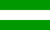 Bandeira de Tarapoto