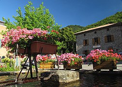 Mayres : la fontaine, place de la Mairie.