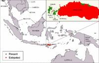 Distribución do dragón de Komodo.