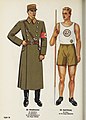 SA uniforms in 1943 (Organisationsbuch der NSDAP)