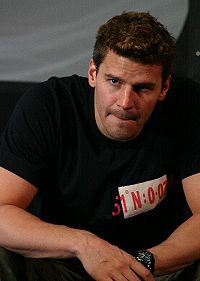 David Boreanaz