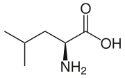 Leucín