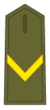 Cavaller Cadet