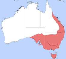 Map of Australia showing the distributional range of the banded sugar ant