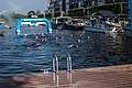 Swim to Fight Cancer in Tilburg in 2019