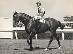 High Caste, 1939 winner