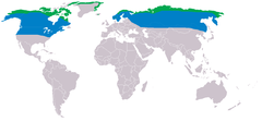 Mapa de distribuição da coruja-das-neves.