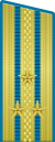 Coronel