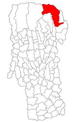 Location in Argeș County