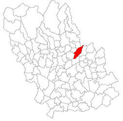 Location in Prahova County