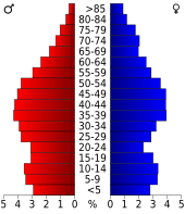 Bevolkingspiramide Caswell County