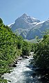 Auwald am Oberlauf, Blick auf den Schlossberg