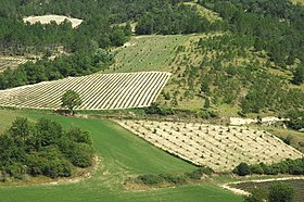 Image illustrative de l’article Coteaux-de-die