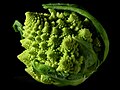 Romanesco broccoli, showing fractal forms