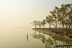 Sundarbans in Shyamnagar Upazila