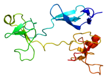 Protein FN1 PDB 1e88.png