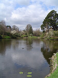 Jardin de Sheffield Park.