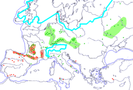 Paleolihic Art in Europe