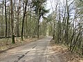 Maarnse Bergweg gezien richting top