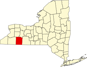 Zemljovid savezne države New York, označeno: Allegany County