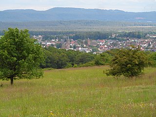 Sickinger Höhe aus Norden über das Landstuhler Bruch hinweg