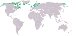 Distribución del eider común.