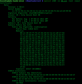 Скриншот программы OpenSSL