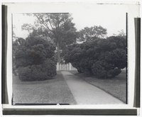 „Sylvester Manor,“ Cornelia Horsford house, Shelter Island, New York. Boxwood at pathway