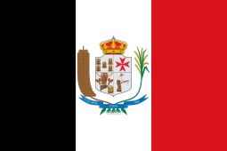 Bandeira do município de Codó