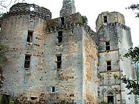 Les ruines du château.