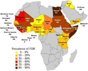 Carte de l'Afrique avec certains pays colorés