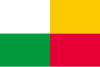 Plzeň bayrağı