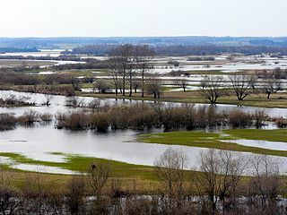 Översvämmade flodfåror vid Strękowa Góra.