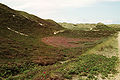 Dünenlandschaft im Westen der Insel