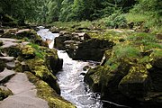 The Strid near Bolton Abbey 54°0′15.18″N 1°54′13.3″W﻿ / ﻿54.0042167°N 1.903694°W﻿ / 54.0042167; -1.903694