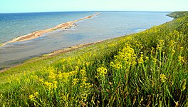 photograph of lagoon coast