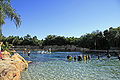 A piscina dos golfinhos