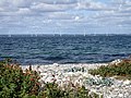 Tunø Knob Havmøllepark, set fra Stenkalven i vest