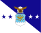 Flagge der Chiefs of Staff of the Air Force