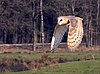 In flight, Sandesneben (Germany)