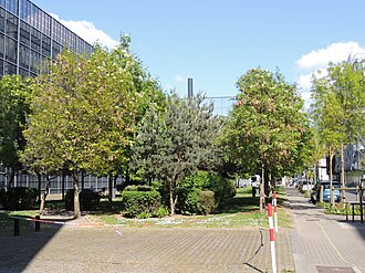 La rue, sur la droite, longe un espace arboré ; on devine un bâtiment masqué par le feuillage