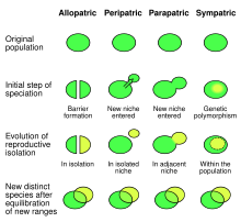 Speciation modes.svg