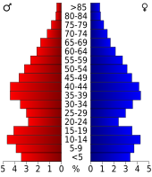 Bevolkingspiramide Wise County